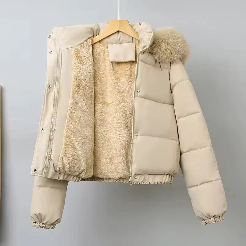 Winter Short Parkas Women's Cotton-padded Clothes Fleece Lining Thicken Warm Outerwear Fur Collar Removable Hooded Quilted Coat