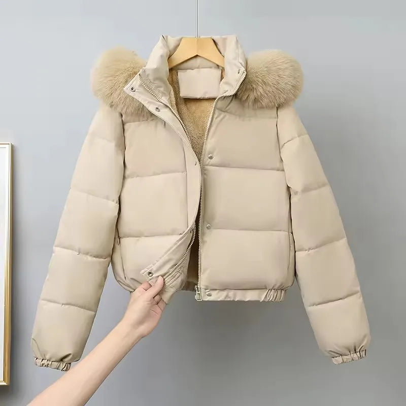 Winter Short Parkas Women's Cotton-padded Clothes Fleece Lining Thicken Warm Outerwear Fur Collar Removable Hooded Quilted Coat
