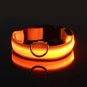Rechargable Dog LED Flashing Collar