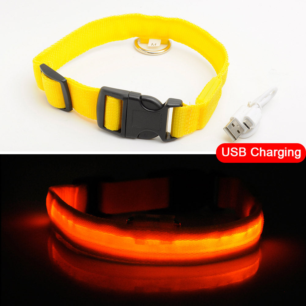 USB Charging Led Dog Collar Anti-Lost/Avoid Car Accident Collar