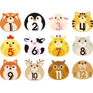 12 Pcs Month Sticker for Baby Milestone Photography