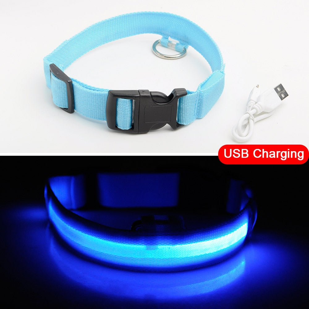 USB Charging Led Dog Collar Anti-Lost/Avoid Car Accident Collar